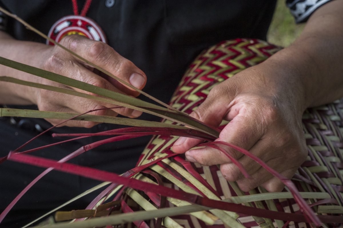 A Choctaw weaver's hands working dyed and natural river-cane splints into a double-weave basket.